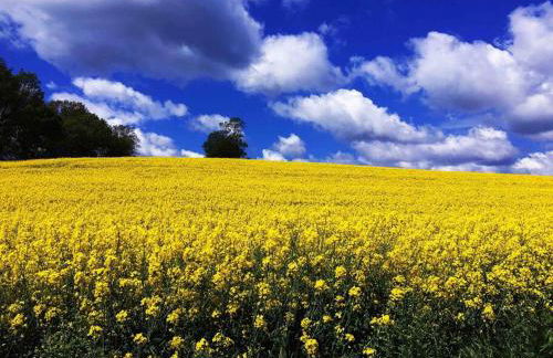 Ferienwohnung HYGGELIG - Göttingen Harz Duderstadt - Foto 20