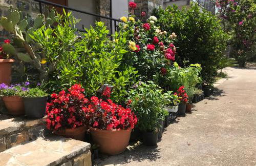 La Casa del Maestro Attico - Photo 37