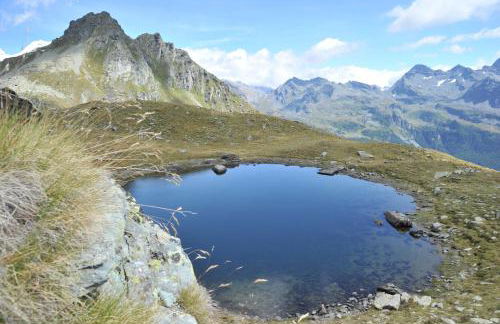 Family Apartments Le Chalet - Foto 45