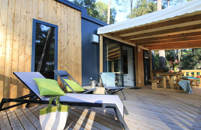 Premium Cocoon - Foto 1