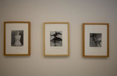 Vale71house - Foto 33