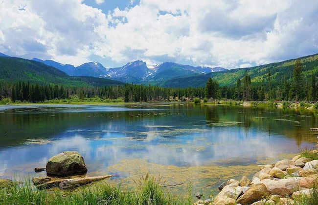 Cozy Retreat | Walk to Unc | Free Cruiser Bikes - Foto 17