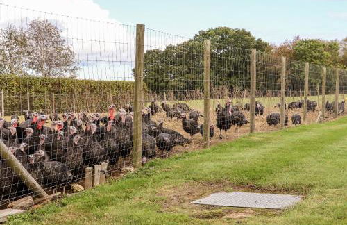 The Milking Parlour - Foto 32