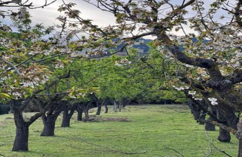 Belvilla by OYO Cobert de l'Era - Foto 32