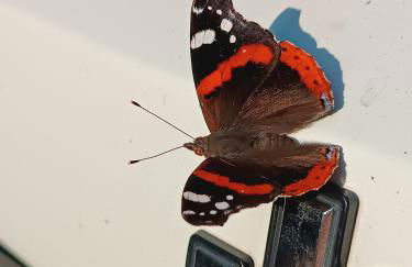 Agriturismo Carne Sicura - Foto 58