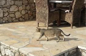 Villa Miranda - Foto 26