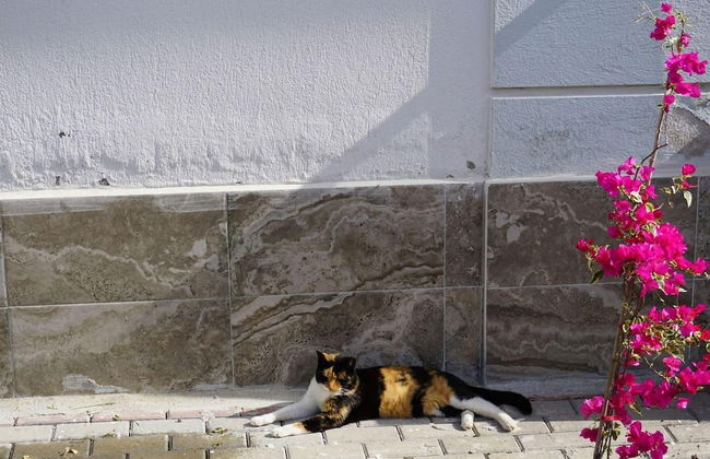 Lovely 2 Rooms Apartment With Pool and Air Con - Foto 36