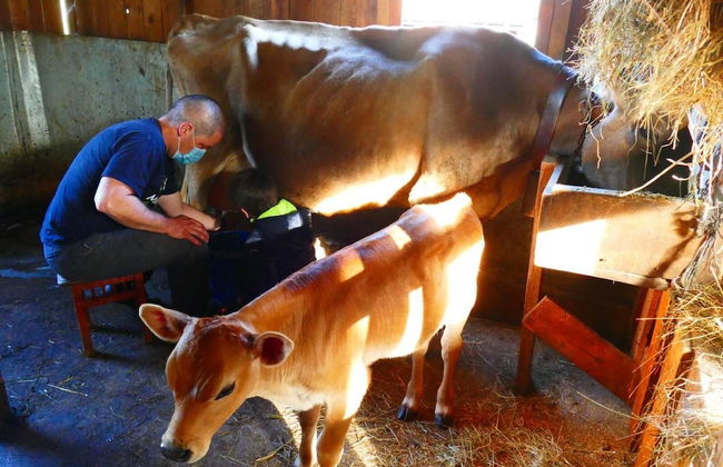 Eco Urbión - Foto 22