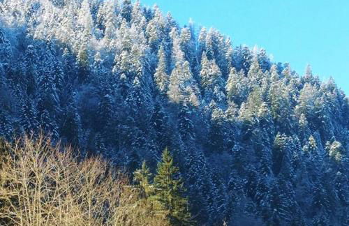 Charmant logis Gérardmer - Photo 39