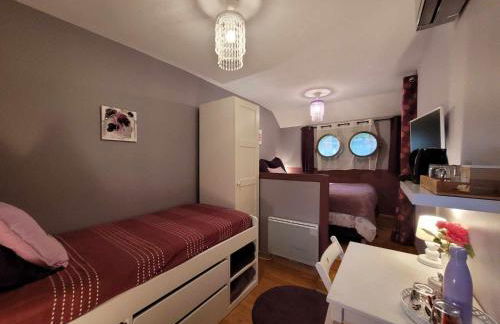 Péniche Amboise Maison d'Hôtes Flottante Toulouse Centre - Foto 29