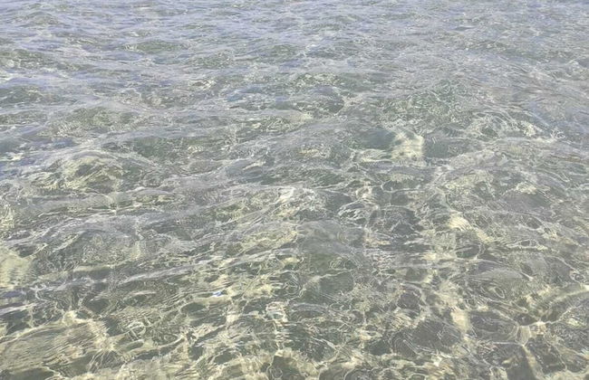 La Rosa - Home Relax - Foto 20