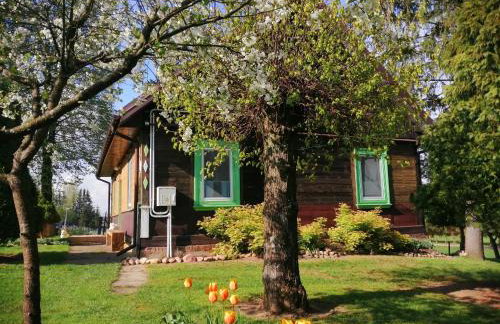 Domek na wsi Wiejsko Czarodziejsko - Agroturystyka Podlasie - Foto 26