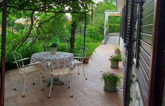 Green Garden Oasis - Photo 39