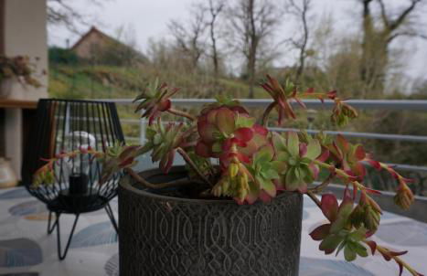 Le Clos Bellevue Appartement T3 parking + piscine - Photo 50