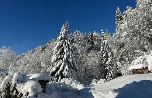 Landhaus Eibelesee - Foto 63