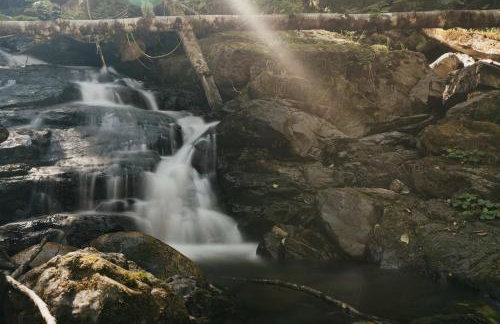 Rusty Bridge River Lodge - Hot tub - Fireplace - Firepit - Foto 30
