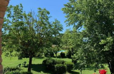 Agricola Caicucci - Foto 74