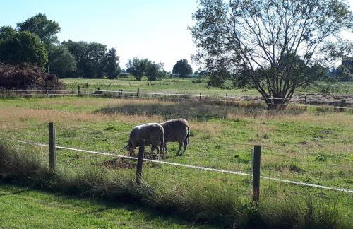 NEU! Ferienwohnung Luna zwischen den Meeren - Foto 11