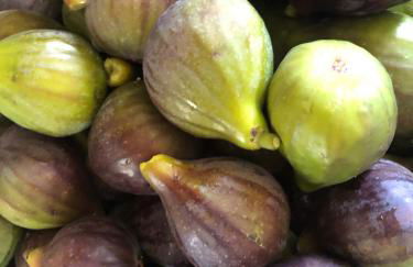 Special Farmstay, Faia-Guarda - Foto 49