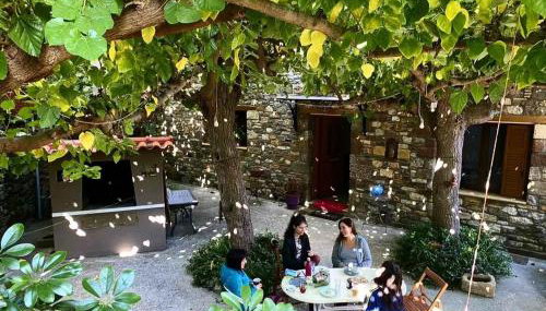 ''The Stone'' - Foto 4