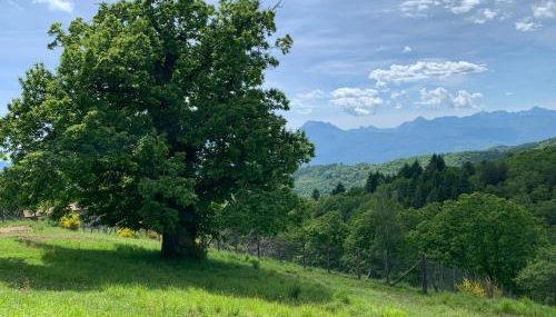 Agriturismo Capo Dezza - Foto 5