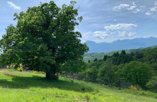 Agriturismo Capo Dezza - Foto 5