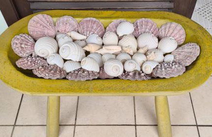 Refúgio do Capitão - São Sebastião - Foto 27