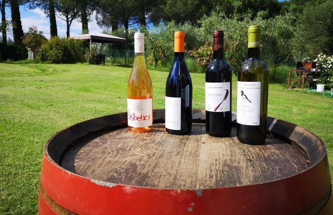 Poggio del Sole - Photo 41