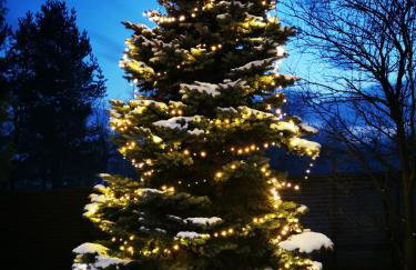 Sielanówek - Orzechowa Chatka z sauną wanną termalną jacuzzi - Foto 37