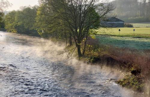 Gartenglück, entspannt wohnen am Obstwanderweg - Foto 41
