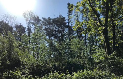 Lodge with log burner Contractors business private parking free Wi-Fi near M4 - Foto 28