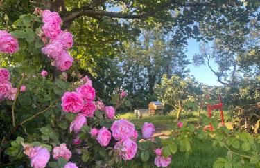 Campbell's Cottage - Foto 36