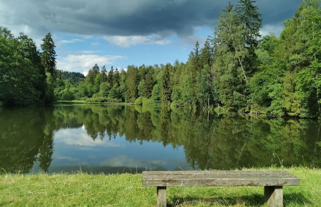 Ferienhaus in Wieda mit Garten - Foto 33