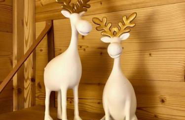 Chalet Granger Vars 22 couchages - Foto 75