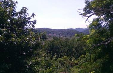 Velika seaside Apartment - Foto 7