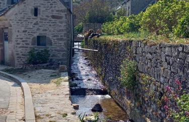 Gite des ajoncs - La Hague - Foto 7