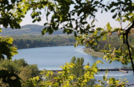 Villa Bonita del Kaiserstuhl - Foto 2