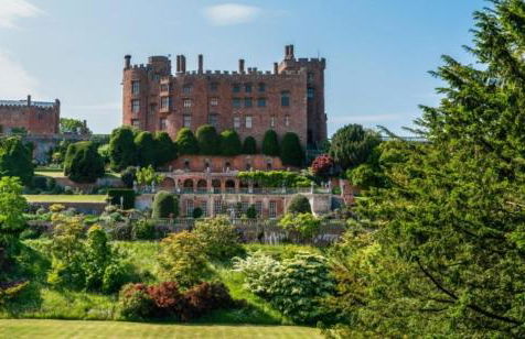 Honey Bee Cottage Tiny House Welshpool - Photo 7