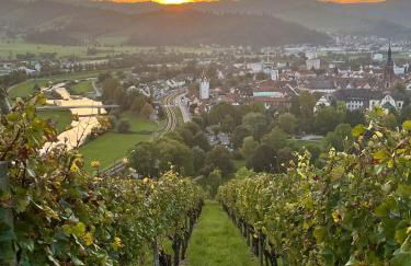 Coucou - Nest im Schwarzwald - Foto 20