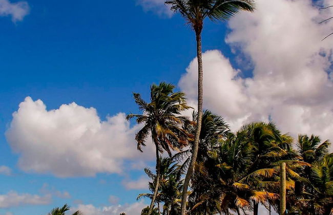 Flat Comfort Get One - João Pessoa - Foto 36