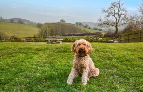 5 Bed in Tiverton oc-48151 - Foto 10