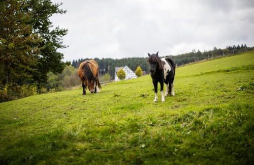 Ferienhof Schade - Foto 16
