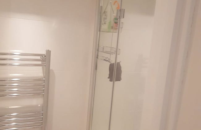 Lovely Large Garden Flat - Photo 17