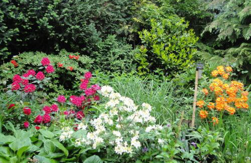 Ferienwohnung Ginkgo - Foto 37