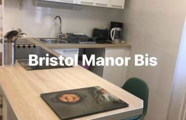 Bristol Manor Bel apt F3 face aux thermes Néris - Foto 15