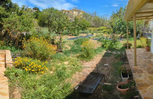 Traditional house with fresh vegetables garden - Foto 37