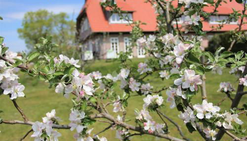 Landhaus Fünfseen - Foto 2, Garden view