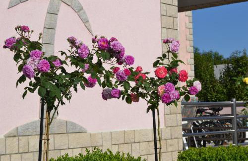 Villa Baldi -Apartmani Danny - Foto 10