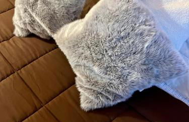 Cataleya Laceno - Foto 33