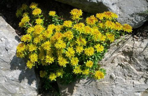 Villa Otto - Foto 27